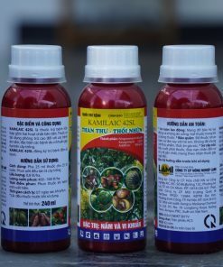 3 chai thán thư thối nhũn