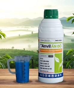 Anvil ẤN ĐỘ mẫu 2