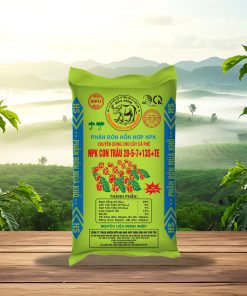 NPK Con Trâu 20-5-7+13S+TE