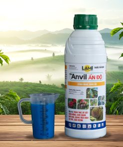 chai anvil ấn độ