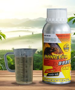 Rồng Lửa 9999 LAMI 550EC