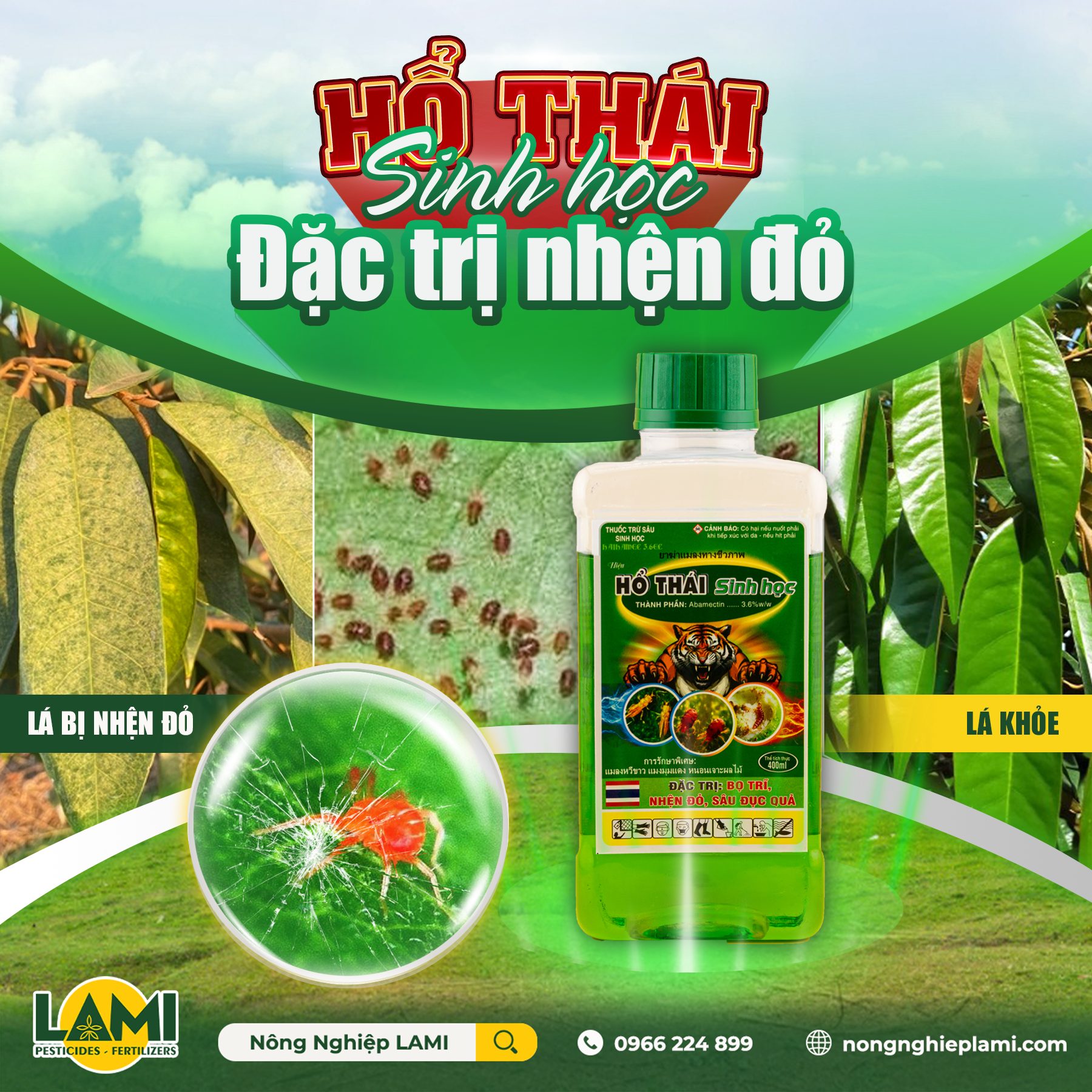 Nhện đỏ trên sầu riêng