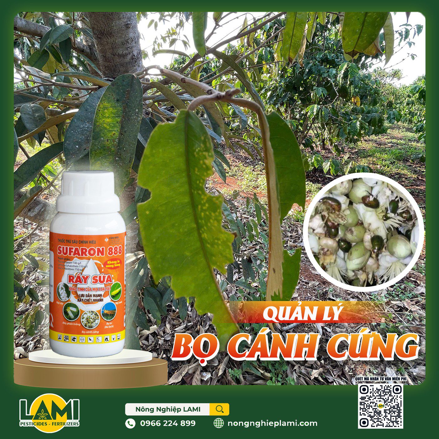 Bọ cánh cứng gây hại