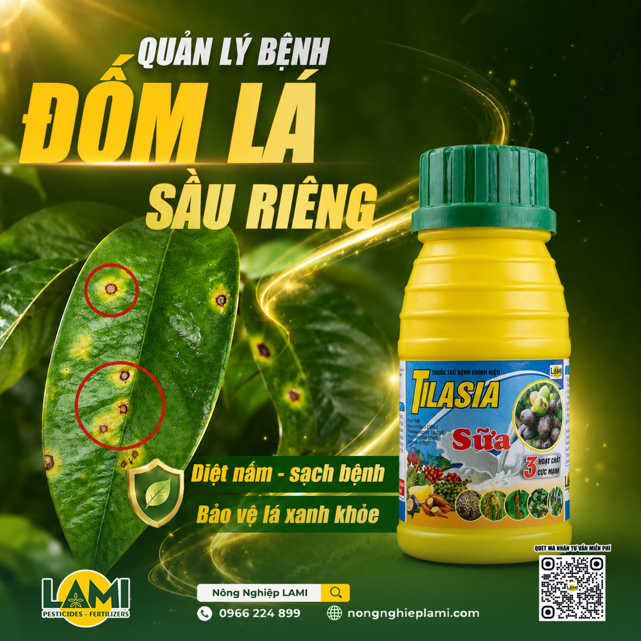 Bệnh đốm lá sầu riêng