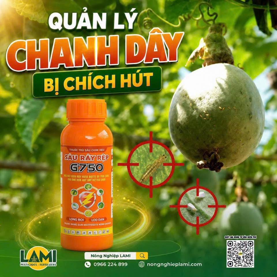 benh-kham-la-xoan-la-chanh-day-do-virus