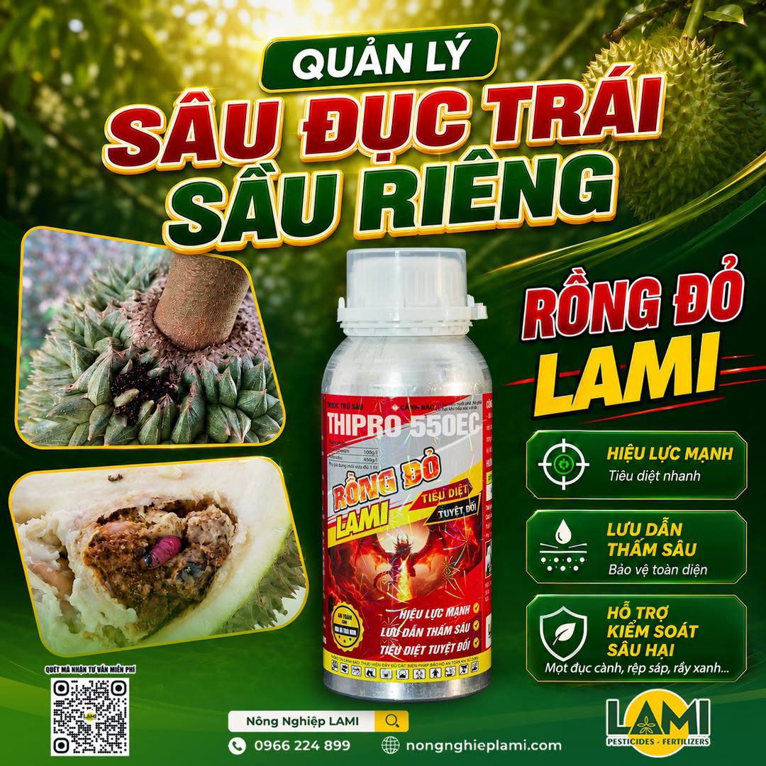 quan-ly-sau-duc-trai-sau-rieng