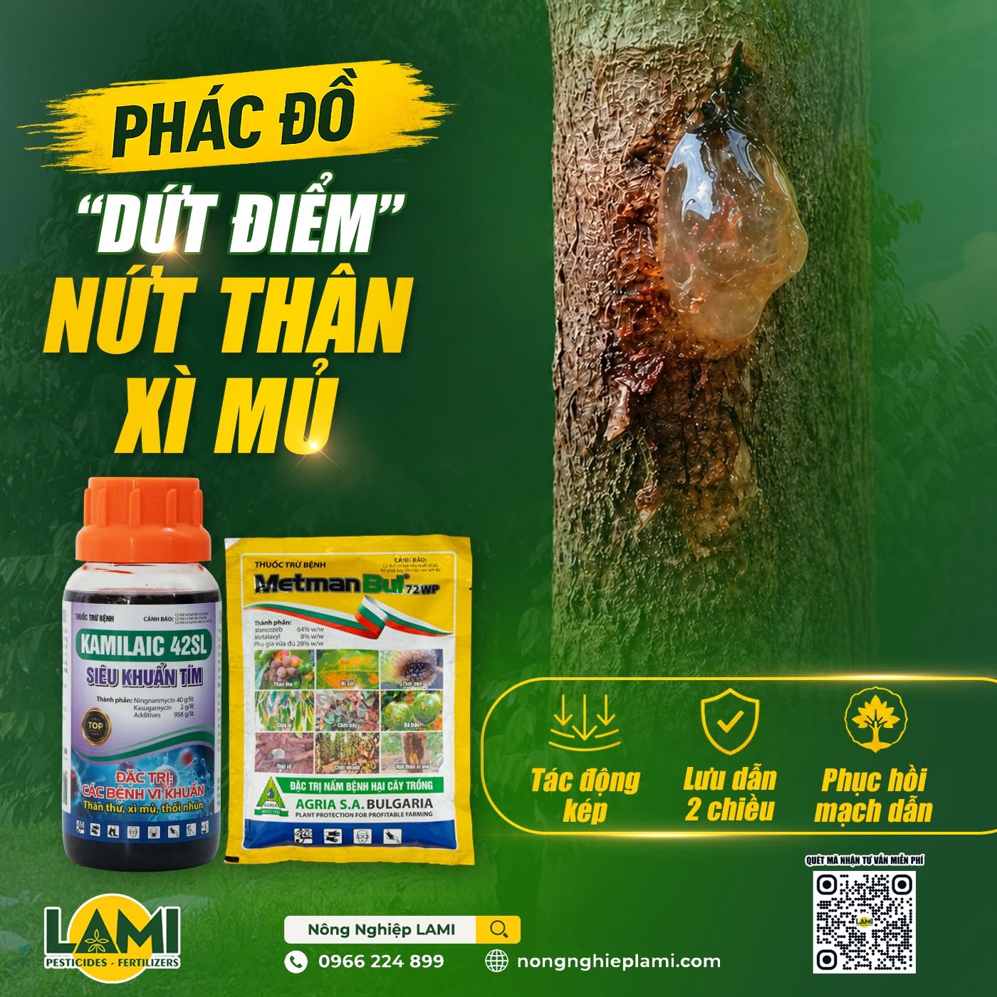 xu-ly-benh-nut-than-xi-mu-tren-sau-rieng