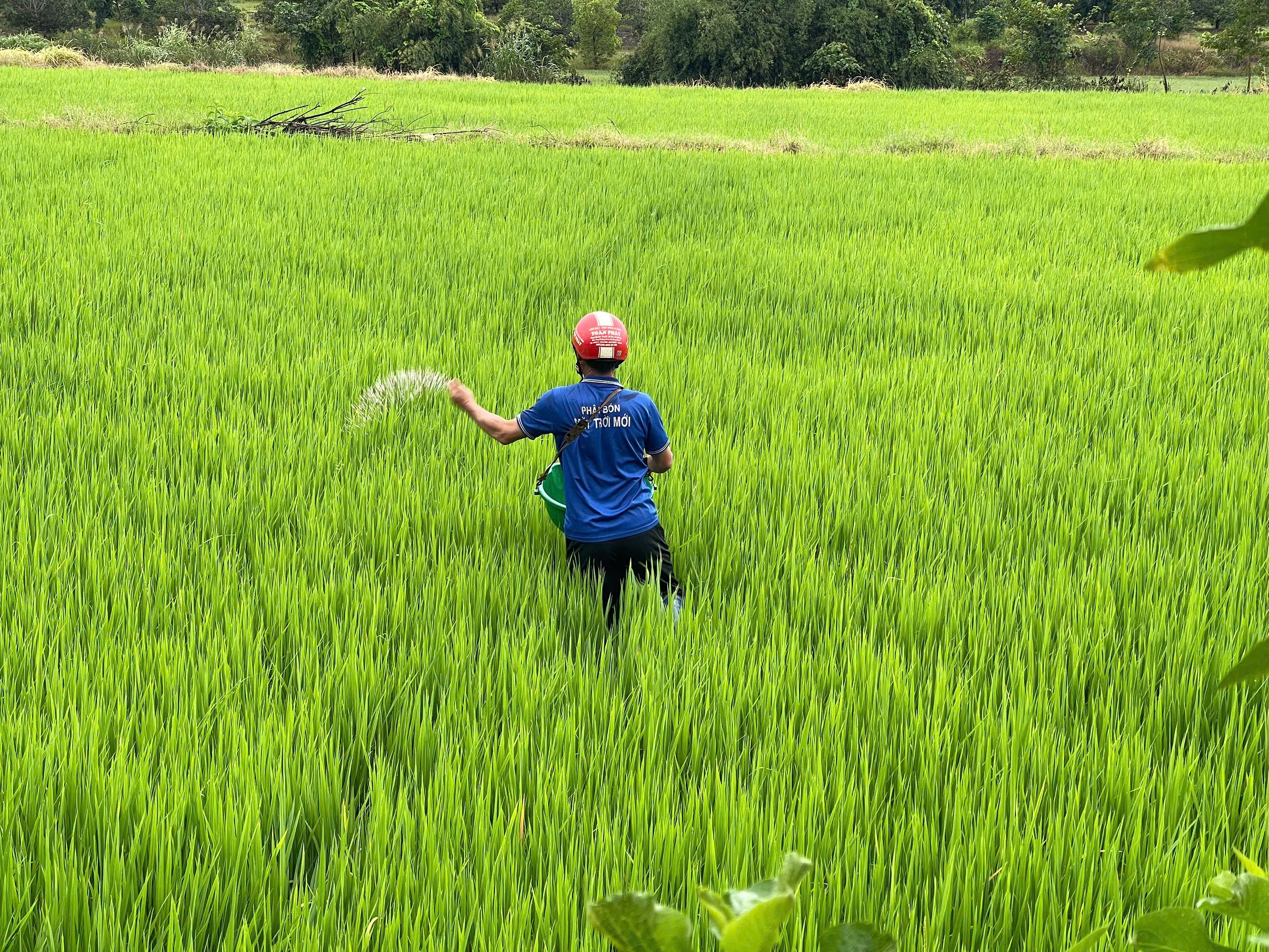 Bón phân hiệu quả